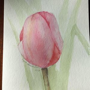 Meet your Posher, Lynn